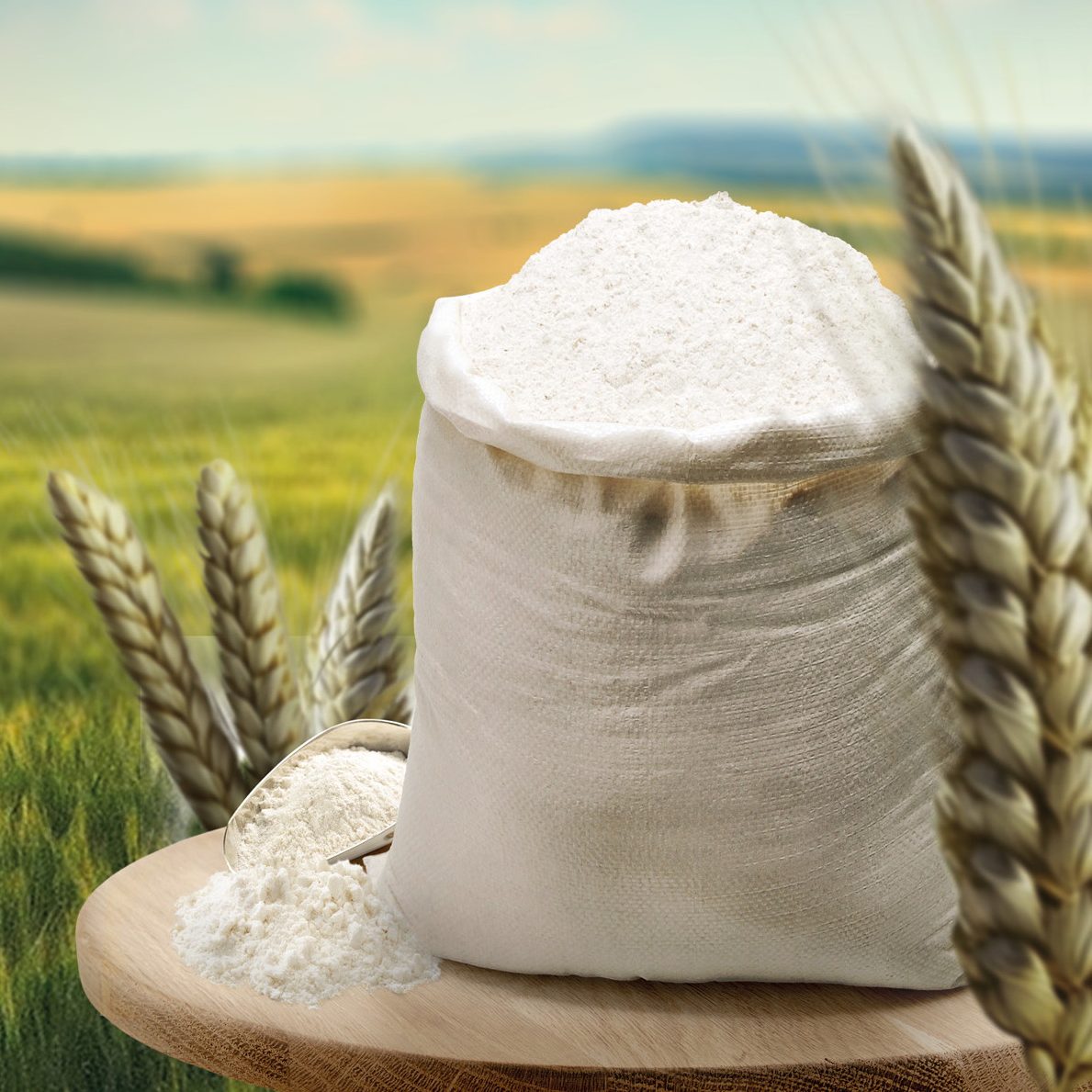 gyermelyi-ismerd-meg-gyermelyt-card-img-malmaszat